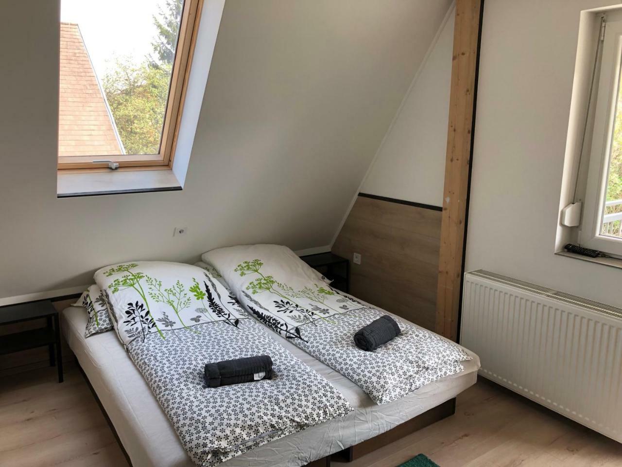 מישקולץ Juno Apartman Vendeghaz מראה חיצוני תמונה