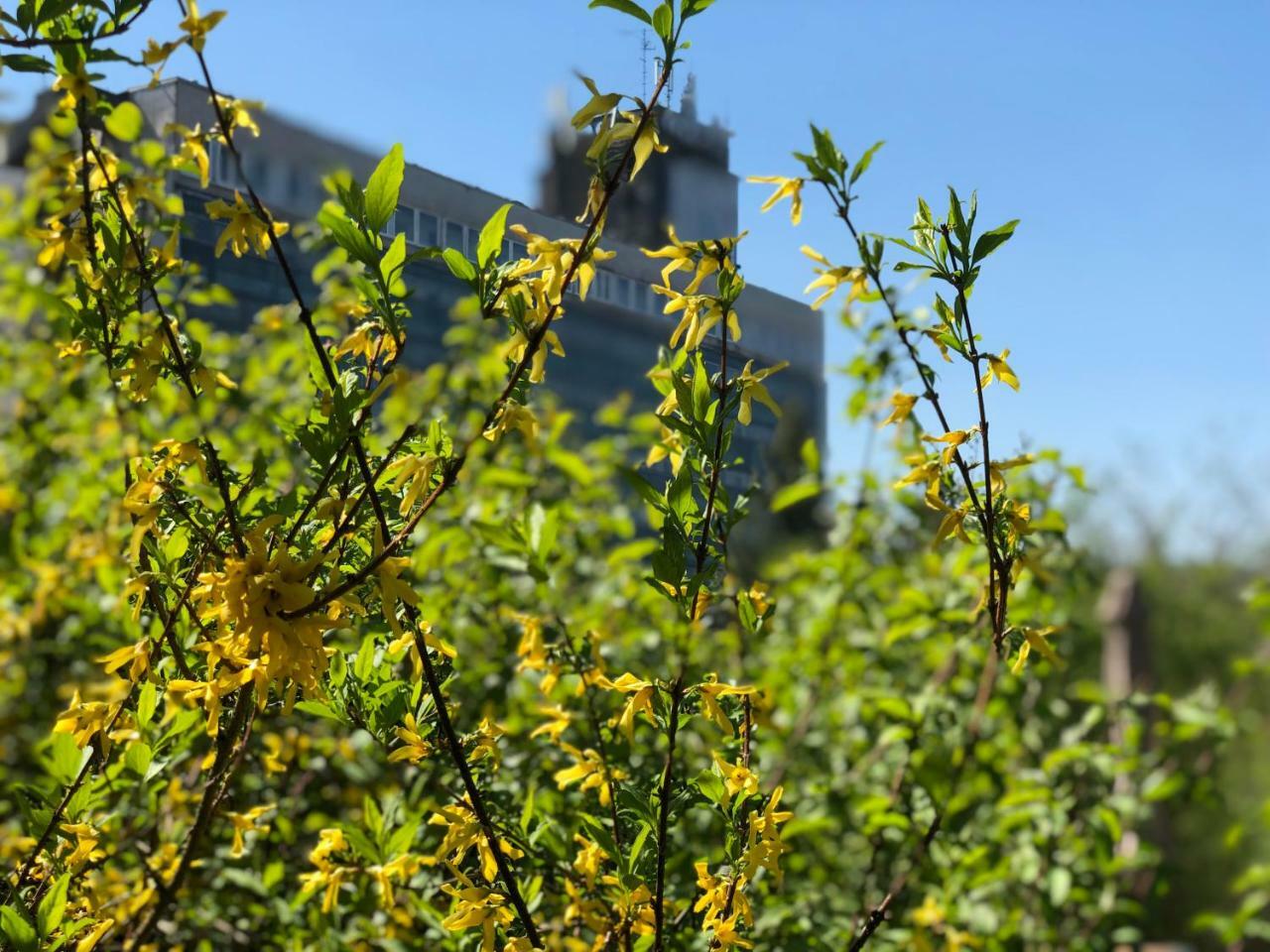 מישקולץ Juno Apartman Vendeghaz מראה חיצוני תמונה